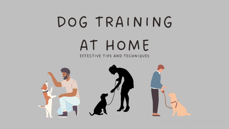 A dog learning basic commands during a dog training session at home, featuring positive reinforcement with treats and praise in a familiar environment
