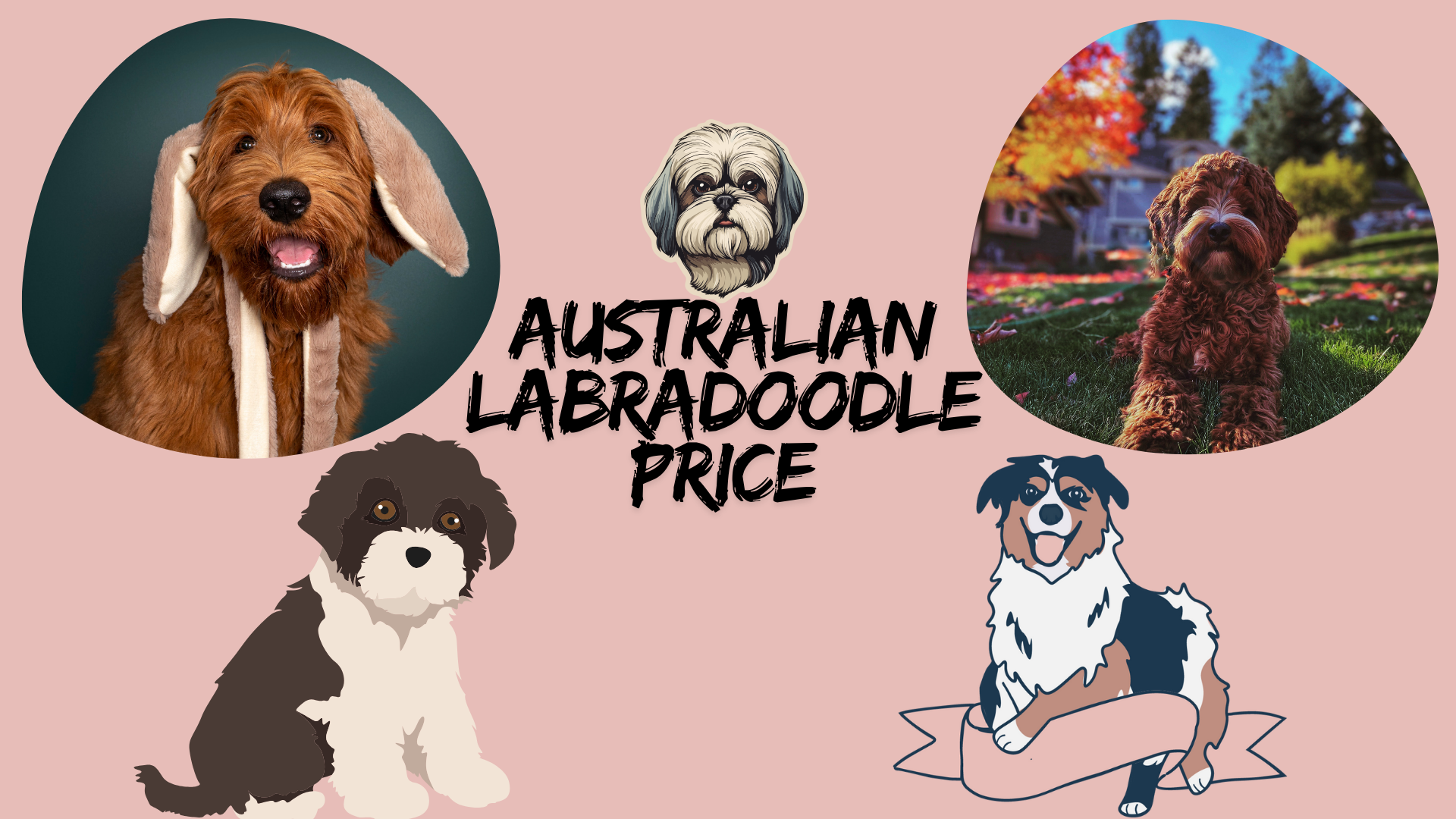 Alt text: Australian Labradoodle puppy sitting outdoors, showcasing its fluffy, non-shedding coat, which influences its price and popularity as a family pet.