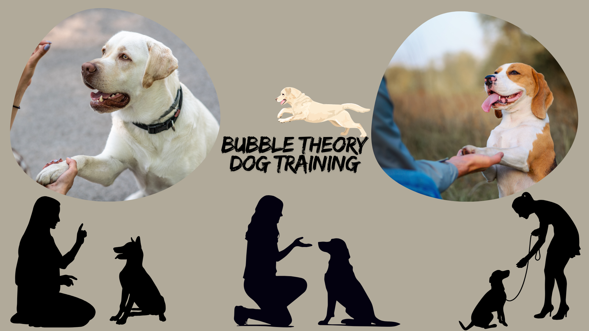 Bubble theory dog training helps reduce reactivity and build trust between dogs and their owners.