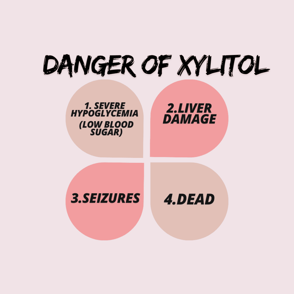 Understanding Xylitol and Its Dangers