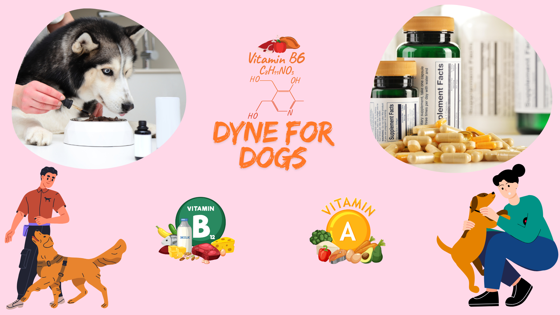 Dyne for dogs: A high-calorie liquid supplement supporting weight gain, energy, and overall health in underweight, active, or recovering dogs.