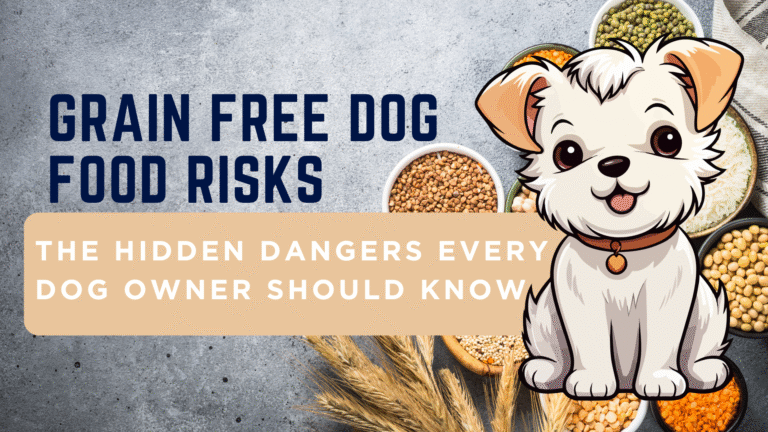 Grain free dog food risks explained with tips for safe, balanced diets to protect your dog’s health.