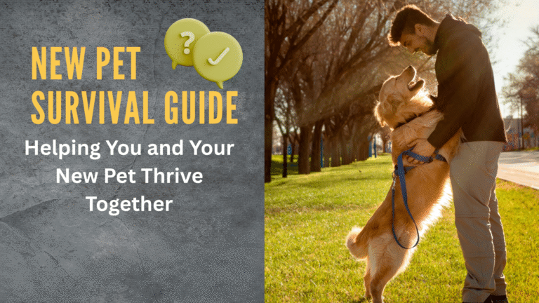 Happy puppy and kitten sitting together on a couch – New Pet Survival Guide for first-time owners.
